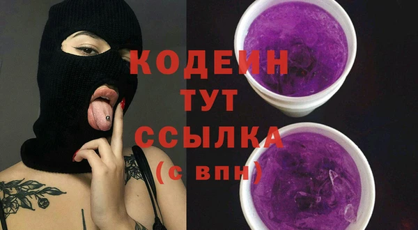 индика Кизел