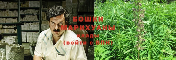 индика Кизел
