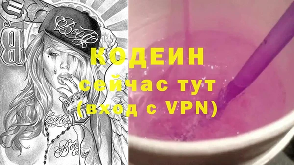 крисы Куйбышев