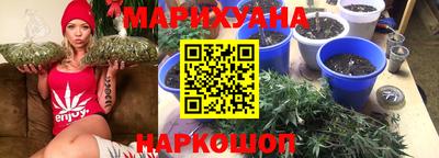 гидропоника Гусев