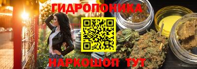 гидропоника Гусев