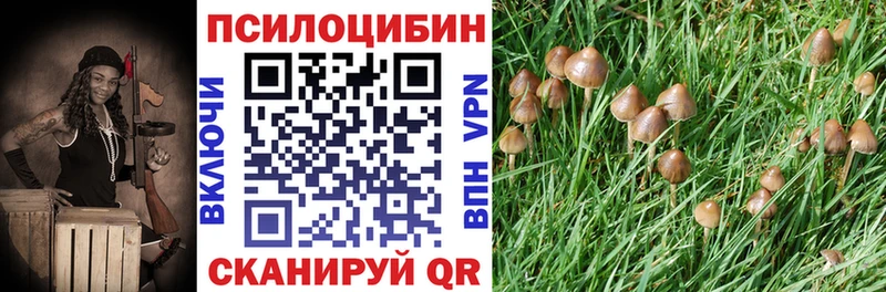 Галлюциногенные грибы мухоморы  kraken маркетплейс  Гусев 