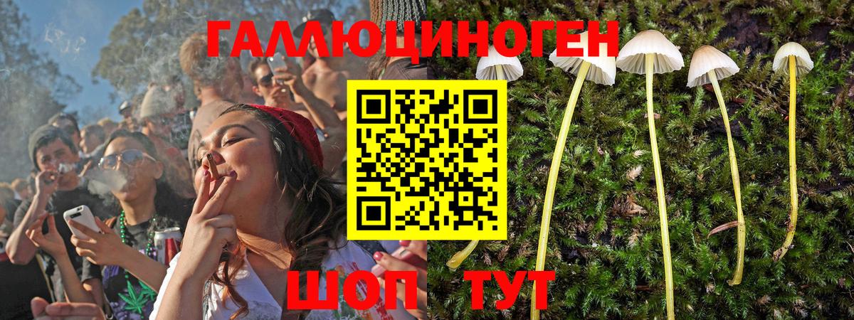 Псилоцибиновые грибы GOLDEN TEACHER Гусев