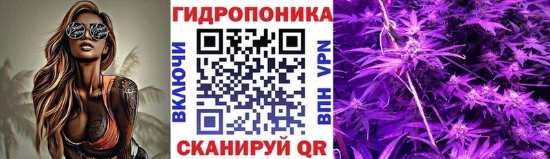 Канабис планчик  как найти закладки  Гусев 